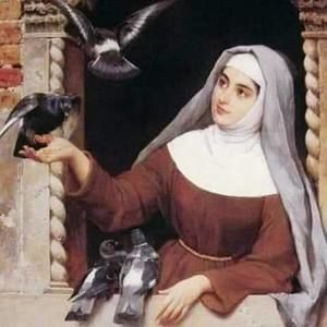 Meet your Posher, Aulfia